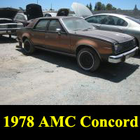Junkyard 1978 AMC Concord
