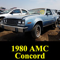 Junkyard 1980 AMC Concord