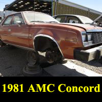 Junkyard 1981 AMC Concord
