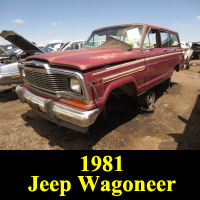 Junkyard 1981 Jeep Wagoneer