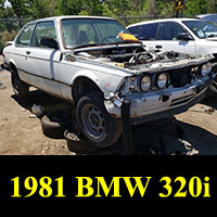 Junkyard 1981 BMW 320i
