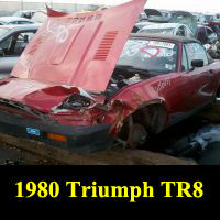 Junkyard 1980 Triumph TR8