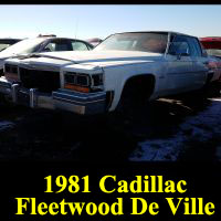 Junkyard 1981 Cadillac Fleetwood