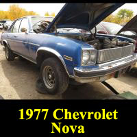 Junkyard 1977 Chevrolet Nova