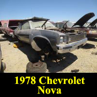 Junkyard 1978 Chevrolet Nova