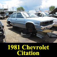 Junkyard 1981 Chevrolet Citation