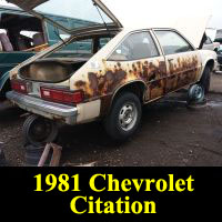 Junkyard 1981 Chevrolet Citation