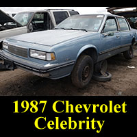 Junkyard 1987 Chevy Celebrity