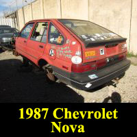 Junkyard 1987 Chevrolet Nova