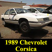 Junkyard 1989 Chevrolet Corsica