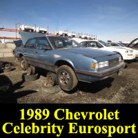 Junkyard 1989 Chevrolet Celebrity