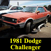 Junkyard 1981 Dodge Challenger