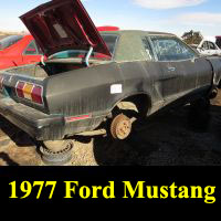 Junkyard 1977 Ford Mustang