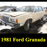 Junkyard 1981 Ford Granada L