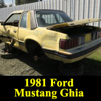 Junkyard 1981 Ford Mustang Ghia