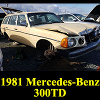 Junkyard 1981 Mercedes-Benz 300TD