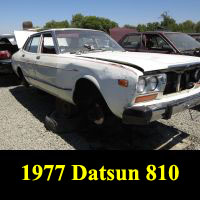 Junkyard 1978 Datsun 810 sedan