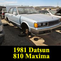 Junkyard 1981 Datsun 810 Maxima by Nissan