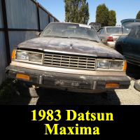 Junkyard 1983 Datsun Maxima