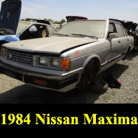 Junkyard 1984 Nissan Maxima