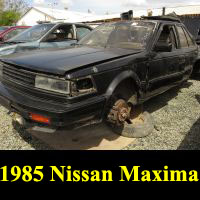 Junkyard 1985 Nissan Maxima