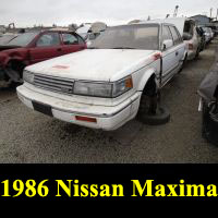 Junkyard 1986 Nissan Maxima