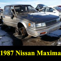 Junkyard 1987 Nissan Maxima