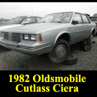 Junkyard 1982 Oldsmobile Cutlass Ciera
