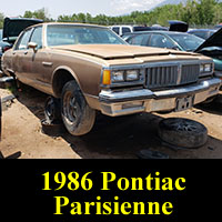 Junkyard 1986 Pontiac Parisienne