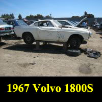 Junkyard 1967 Volvo 1800S