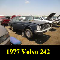Junkyard 1977 Volvo 242