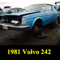 Junkyard 1981 Volvo 240 Coupe