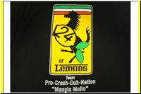133-24_Hours_of_LeMons_Team_Shirts.JPG