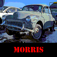 Morris Junkyard Posts