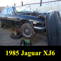 Junkyard 1985 Jaguar XJ6