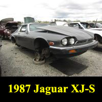 Junkyard 1987 Jaguar XJ-S