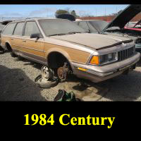 Junkyard 1984 Buick Century Wagon