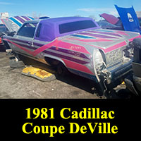 Junkyard 1981 Cadillac Fleetwood