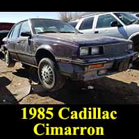Junkyard 1985 Cadillac Cimarron