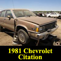 Junkyard 1981 Chevrolet Citation