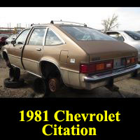 Junkyard 1981 Chevrolet Citation