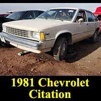 Junkyard 1981 Chevrolet Citation