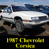 Junkyard 1987 Chevy Corsica sedan