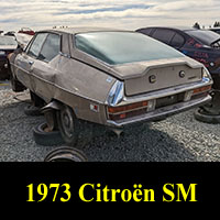 Junkyard 1973 Citron SM