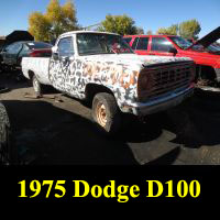 Junkyard 1975 Dodge D-100