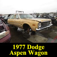 Junkyard 1977 Dodge Aspen Wagon