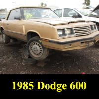 Junkyard 1985 Dodge 600 ES