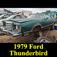 1979 Ford Thunderbird in Junkyard