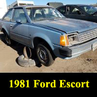 Junkyard 1981 Ford Escort