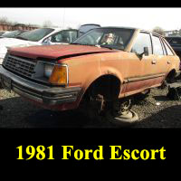 Junkyard 1981 Ford Escort